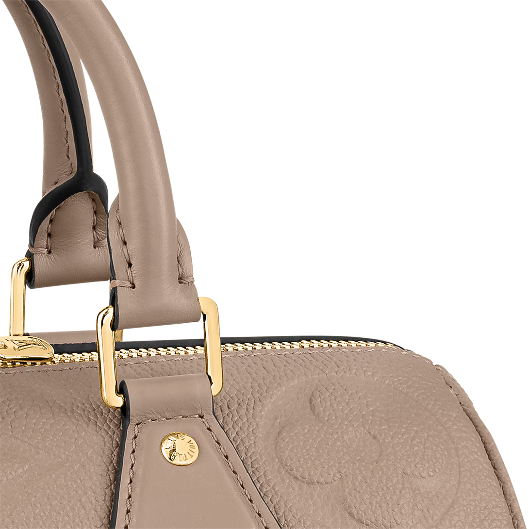Louis Vuitton Speedy Bandoulière 25 Bag (2025)