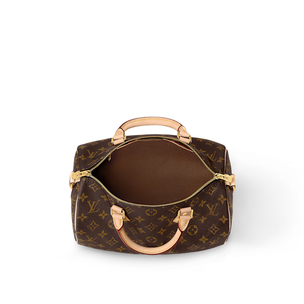 Louis Vuitton Speedy Bandoulière 30 (2025)