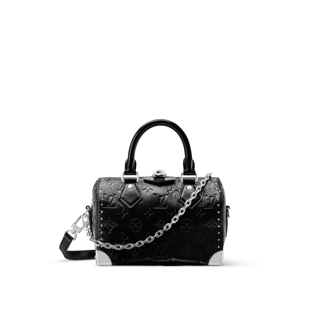 Louis Vuitton Speedy Trunk 20 (2025)